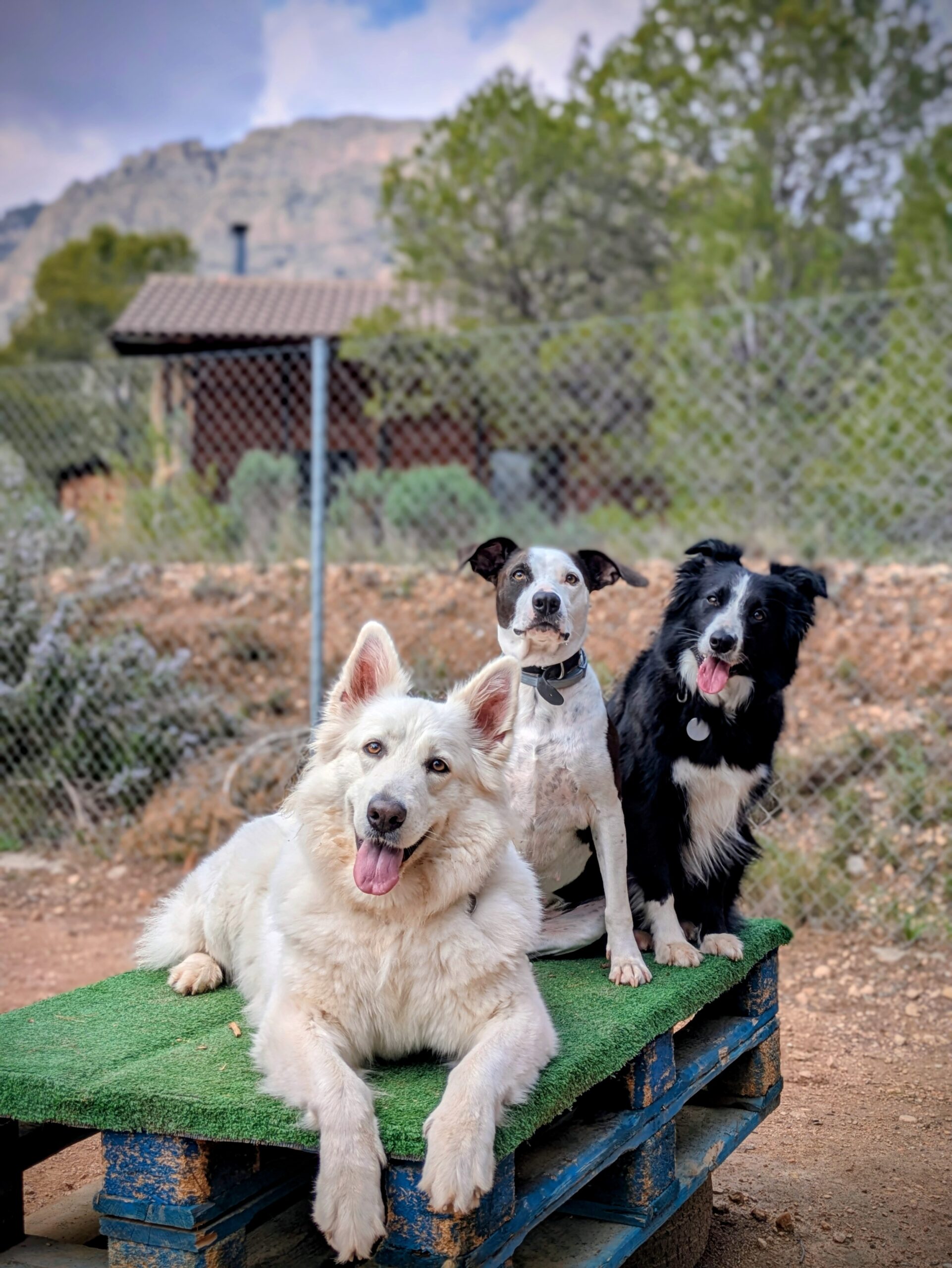 Un día en el ColeCan Pro